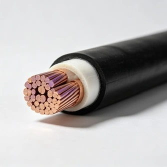 ສາຍໄຟ insulated 6/10kV XLPE
